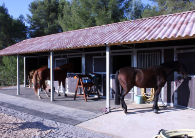 loddon stables (12)