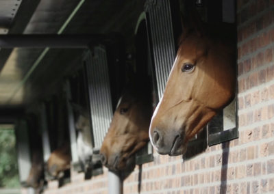 loddon stables (84)