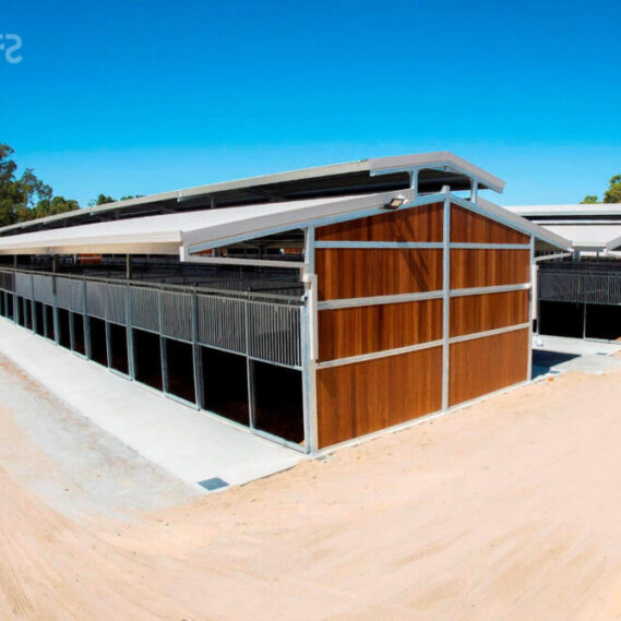 Magic Millions Sales Complex Swan Valley Killahy Equine