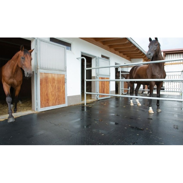 light brown and dark brown horses standing on rubber stable mats and seperated by metal fencing