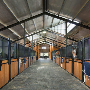 Springside Warmbloods - Stable Panels by Killahy Equine