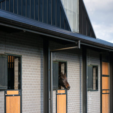 Springside Warmbloods - Barn with 8 Stables by Killahy Equine Projects