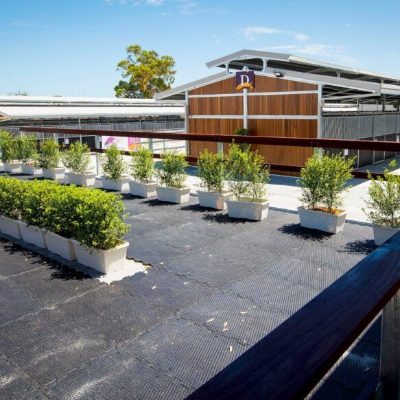 Magic Millions Sales Complex Swan Valley