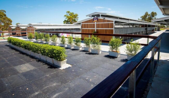 Magic Millions Sales Complex Swan Valley