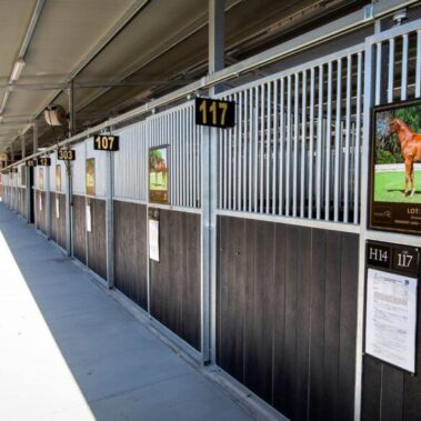 Magic Millions Sales Complex Swan Valley by Killahy Equine Projects