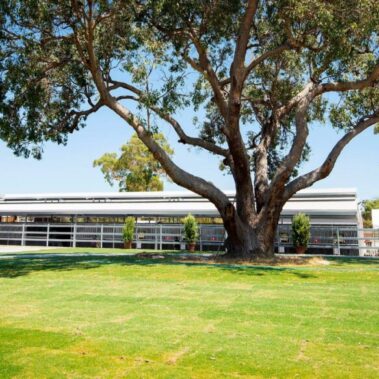 Magic Millions Sales Complex Swan Valley by Killahy Equine Projects