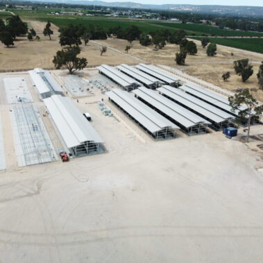 Magic Millions Sales Complex Swan Valley by Killahy Equine Projects