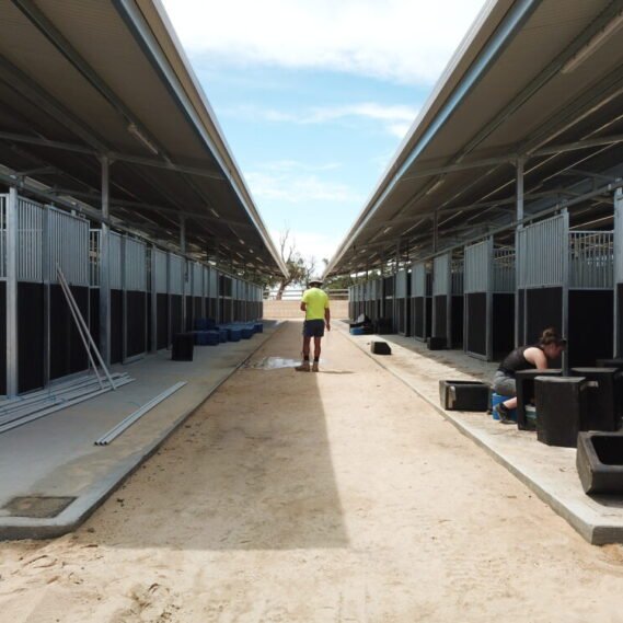 Magic Millions Sales Complex Swan Valley Killahy Equine