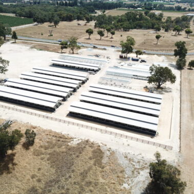 Magic Millions Sales Complex Swan Valley by Killahy Equine Projects