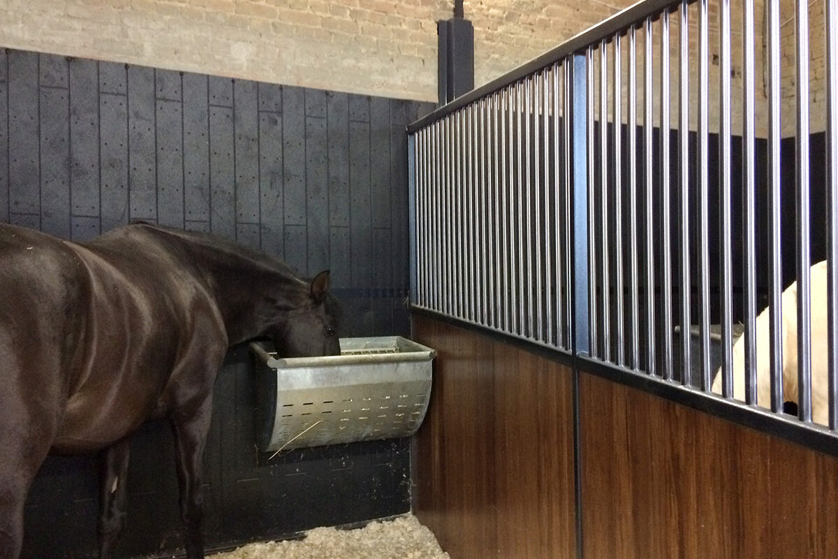 Wooden and steel stall divider in a stable with a horse eating from a feeder