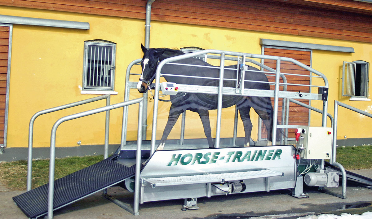 horse treadmills trainer in action